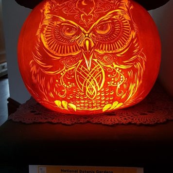 Grazyna Chyla Kacmarek 18+ Celtic Owl
