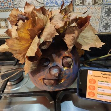 Iris Brennan 3 Scarcrow Pumpkin