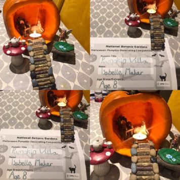 Isabelle Maher 8 Pumpkin Villa