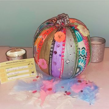 Izzy Aspel 9-10 Decoupage Pumpkin
