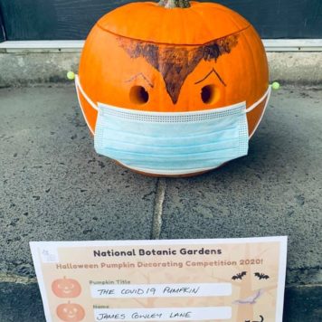 James Cowley Lane Age 9 COVID-19 Pumpkin