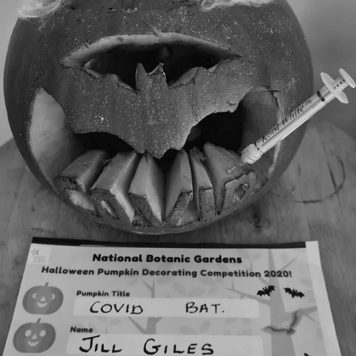 Jill Giles 11-18 Covid Bat BW