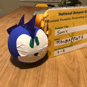 John McGrath 7 Sonic