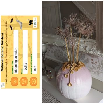 Jolita Kazakauskaite 18+ Blooming Pumpkin