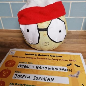 Joseph Sorohan 5 Where's Wally at Halloween
