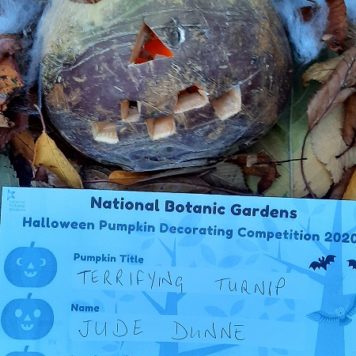 Jude Dunne 5 Terrifying Turnip