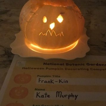 Kate Murphy 10 Frank-Kin