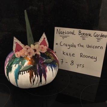 Kate Rooney 7 Crayola the Unicorn