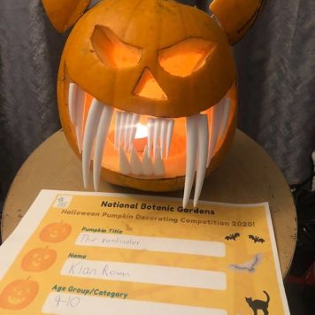 Kian Rowan 10 The Pumkinater