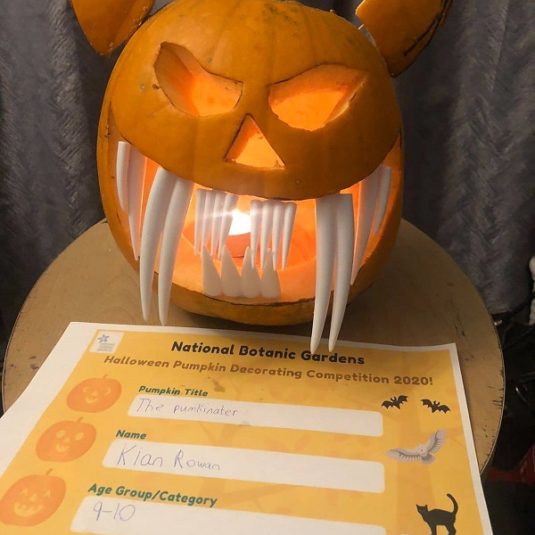 Kian Rowan 10 The Pumkinater