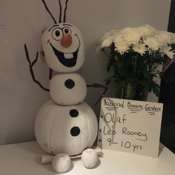 Leo Rooney 9 Olaf