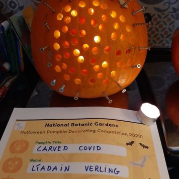 Liadain Verling 7-8 Carved Covid