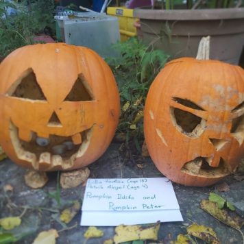 Lilla Farkas and Patrik Akyol 15 and 4 Pumkin Ildibo and Pumpkin Peter
