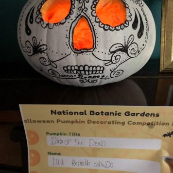 Lua Reynolds 8 Day of the Dead