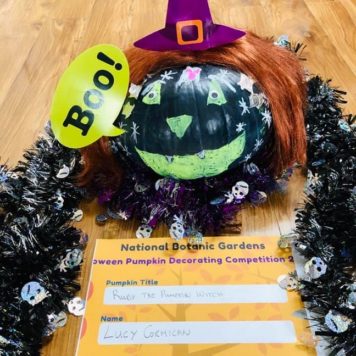 Lucy Cormican 5-6 Ruby the Pumpkin Witch