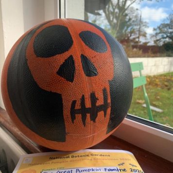 Mark Burke 10 The Great Pumpkin Famine