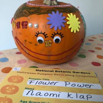 Naomi Klap 0-4 Flower Power