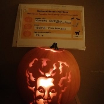 Niamh Coughlan 18+ Winifred Sanderson Hocus Pocus