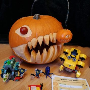 O'Sullivan Family Angler Pumpkin