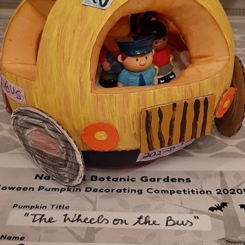 Oisin Byrne 5 The wheels on the bus
