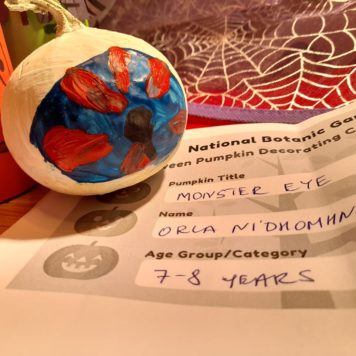Orla 7-8 Monster Eye