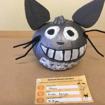 Orlaith Brannigan 11-18 Totoro