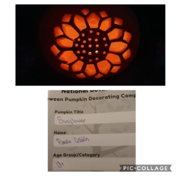 Pamela Cribben 18+ Sunflower