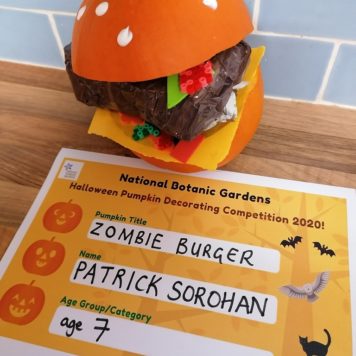 Patrick Sorohan 7 Zombie Burger