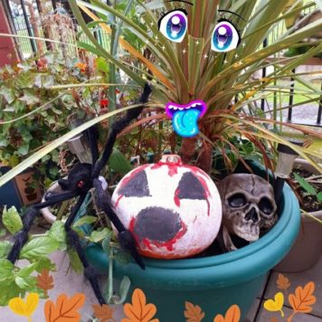 Poppy McDonald 7 Scary Pumpkin