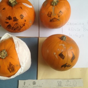 Roisin Brennan 5-6 Zooming Pumpkins