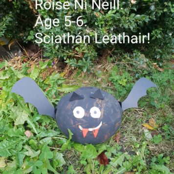 Rose Ni Neill 5-6 Sciathan Leathair