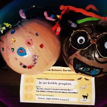 Ruths House Childminding 6 to 12 In our Bubble Pumpkins