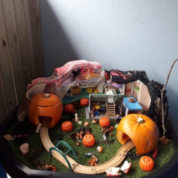St. Marys NS Dungarvan Spooky Town