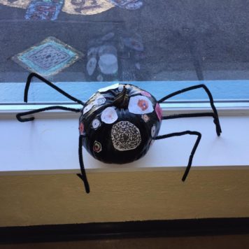 St. Marys Primary school Scary Spider