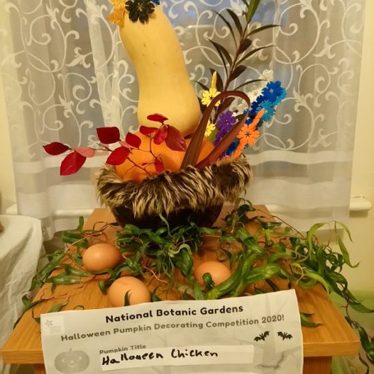 Sylvia, Sylvester, Sylvester, Irmina Kaluzka Family Halloween Chicken