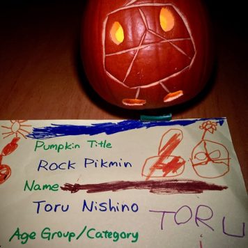 Toru Nishino 0-4 Rock Pikmin