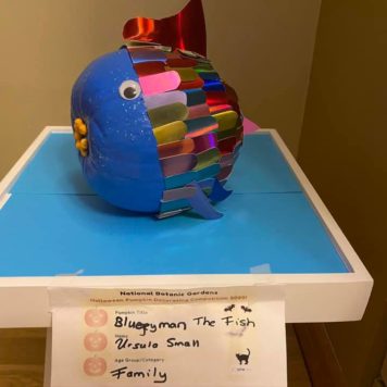 Ursula Small Family Bluegey Man the Fish