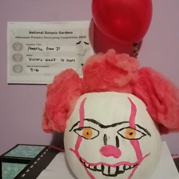 Victoria Wasik 10 Pennywise from It