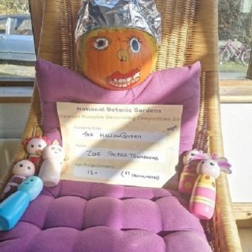 Zoe Salter Townshend 18+ The HallowQueen sPECIAL nEEDS
