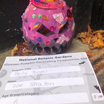 Zoe Straton aged 6 Party Pooper