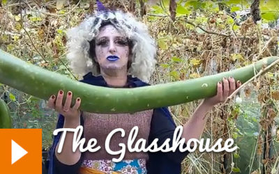 Magical Plants in the Witches’ Garden: The Glasshouse