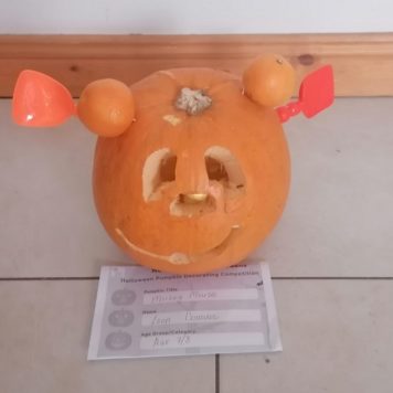 leon donovan 7-8 mickey mouse