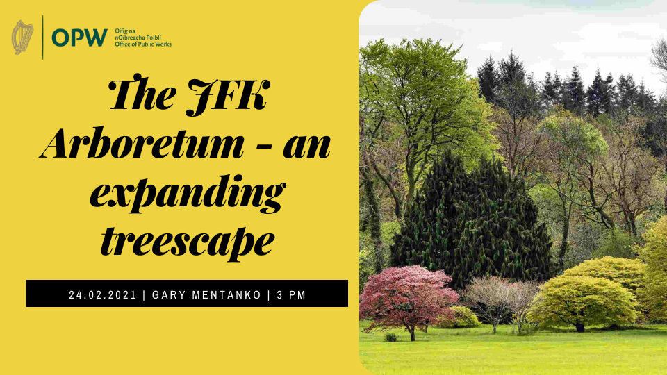 The JFK Arboretum – online talk with Gary Mentanko