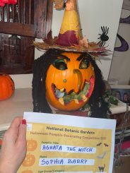 Aghata the Witch - Sophia Barry - Age 11