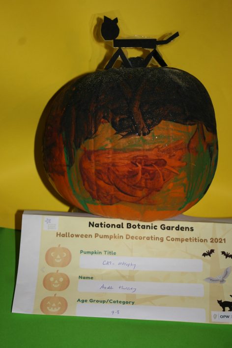 CAt-astrophy, Aodh Hussey, Age 7-8