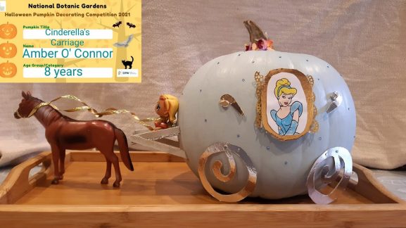 Cinderella's Carriage, Amber O'Connor, Age 8