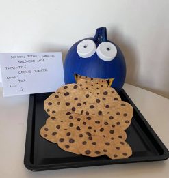 Cookie Monster - Pola - Age 5