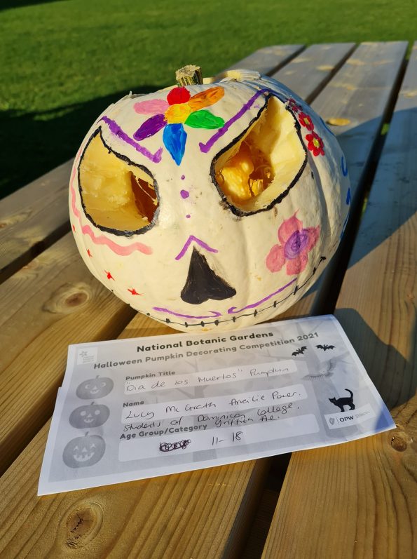 Dia de los Muertos Pumpkin, Lucy McGrath and Ameilie Pouer, St Dominican's College, Age 11-18