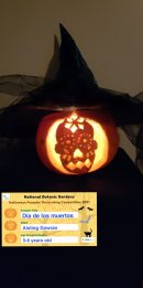 Dia de los muertos Aisling Gowran Age 5-6