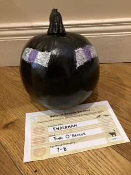 Enderman, Finn O'Beirne, Age 8